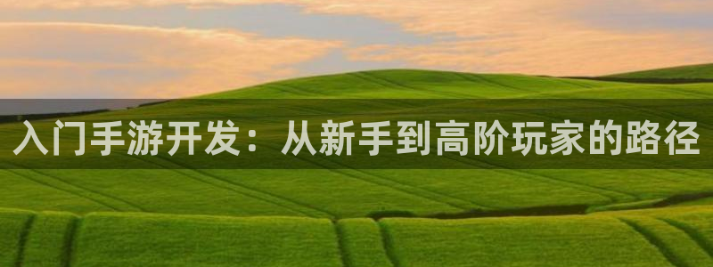 最新28大神预：入门手游开发：从新手到高阶玩家的路径