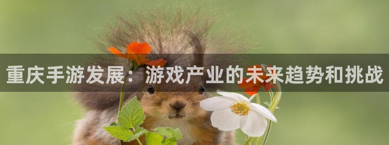 大神28ios下载：重庆手游发展：游戏产业的未来趋势和挑战