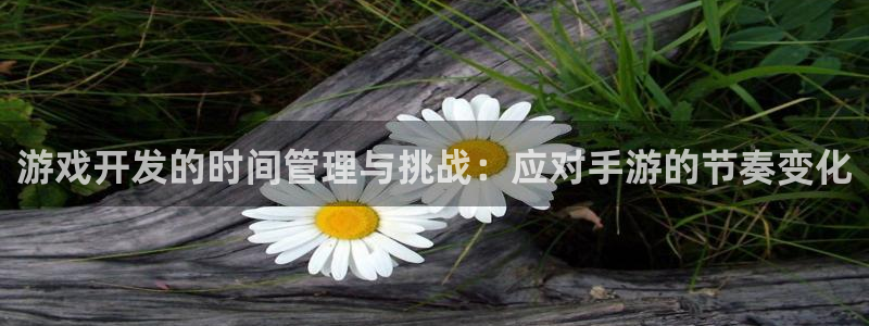 28大神最新版苹果版下载：游戏开发的时间管理与挑战：应对手游