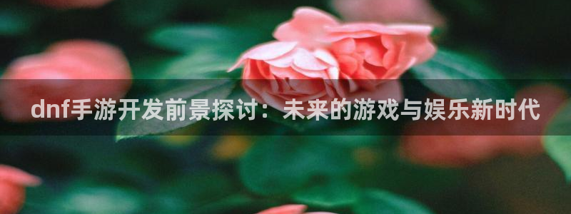 28大神怎么用不了：dnf手游开发前景探讨：未来的游戏与娱乐