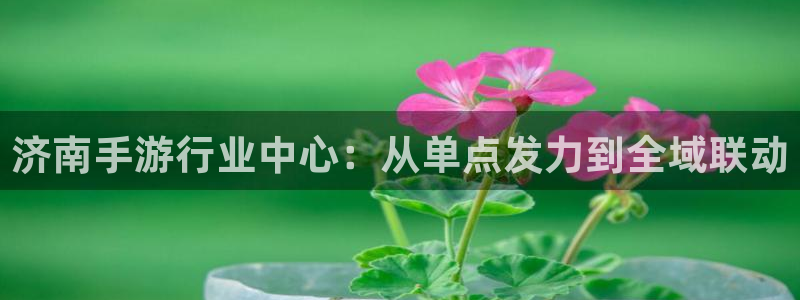 pc28大神预测官网下载地址