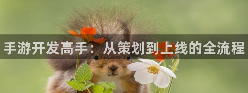 pc大神28历史