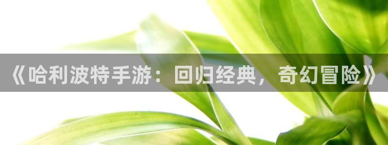 大神28杀最厉害三个组合