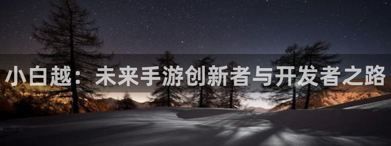 大神28加拿大在线上分：小白越：未来手游创新者与开发者之路
