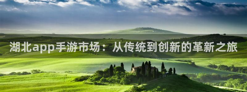 28大神下载苹果版：湖北app手游市场：从传统到创新的革新之