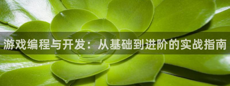 28大神怎么下载不了：游戏编程与开发：从基础到进阶的实战指南
