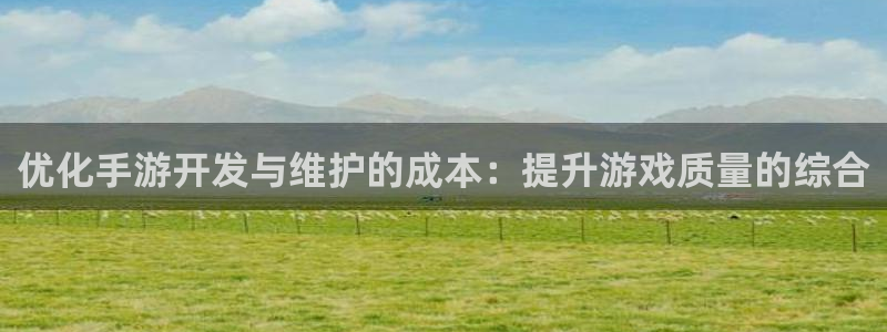 大神pc28在线预测：优化手游开发与维护的成本：提升游戏质量