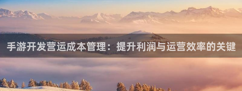 加拿大大神28预测网：手游开发营运成本管理：提升利润与运营效