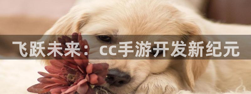 28大神官方开奖：飞跃未来：cc手游开发新纪元
