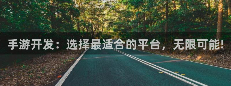 大神28加拿大在线预测：手游开发：选择最适合的平台，无限可能