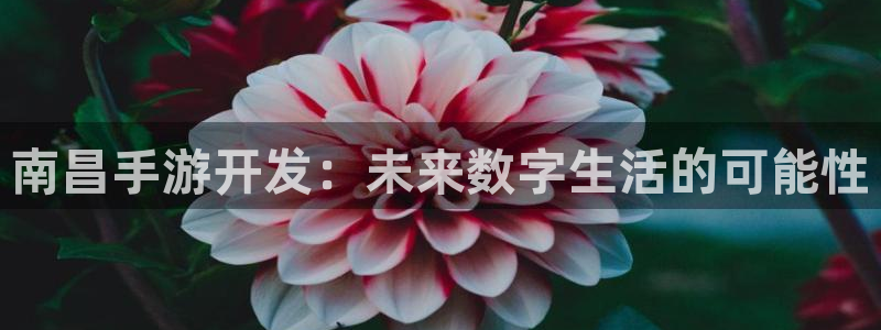 大神网pc28预测：南昌手游开发：未来数字生活的可能性