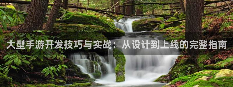 加拿大预测28大神网：大型手游开发技巧与实战：从设计到上线的