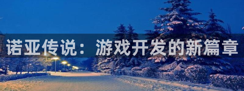 大神28云集预测网：诺亚传说：游戏开发的新篇章