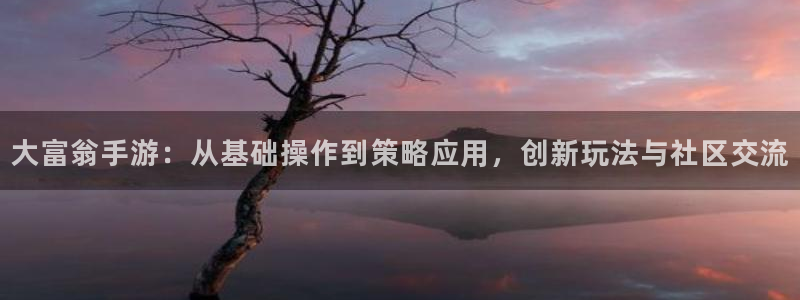 大神28预测手机版下载：大富翁手游：从基础操作到策略应用，创