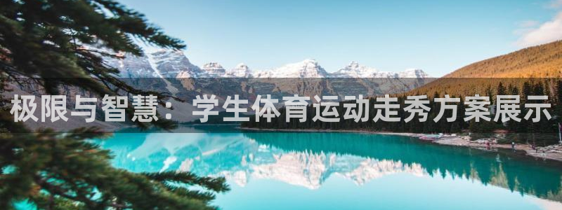 678体育官网地址