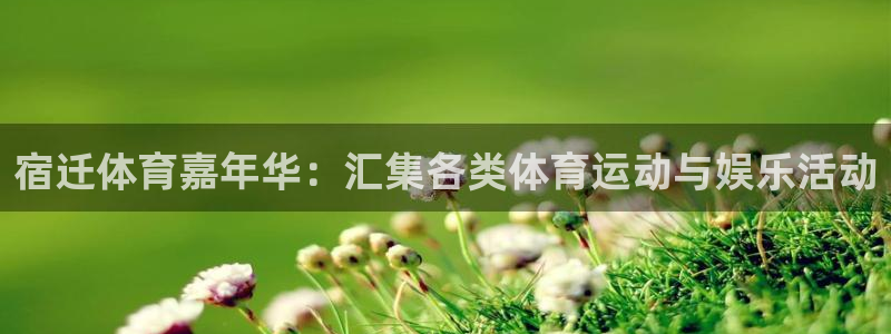 678体育