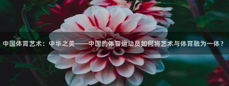 678体育