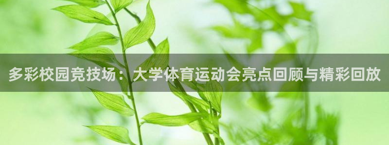 皇冠678体育：多彩校园竞技场：大学体育运动会亮点回顾与精彩回放